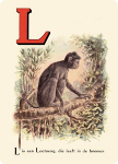 L is een Loetoeng, die leeft in de boomen